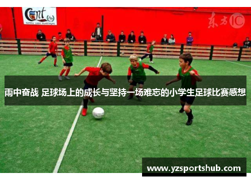 雨中奋战 足球场上的成长与坚持一场难忘的小学生足球比赛感想